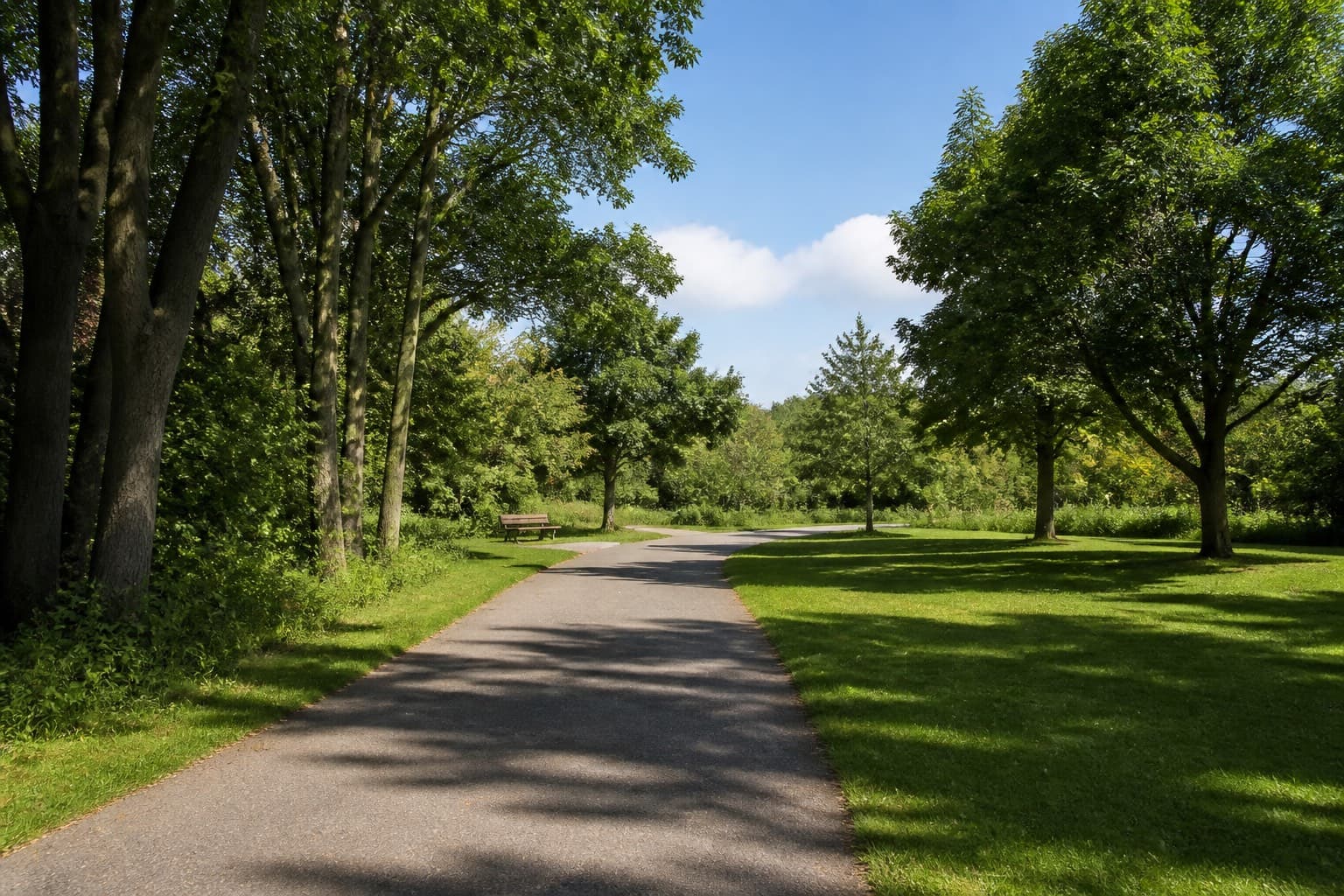 Park trail through trees in Oakville-area southern Ontario. Neighbourhood illustration only; not a Five Oaks rendering.